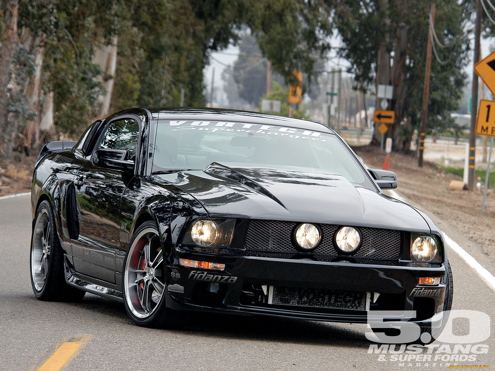 , mustang